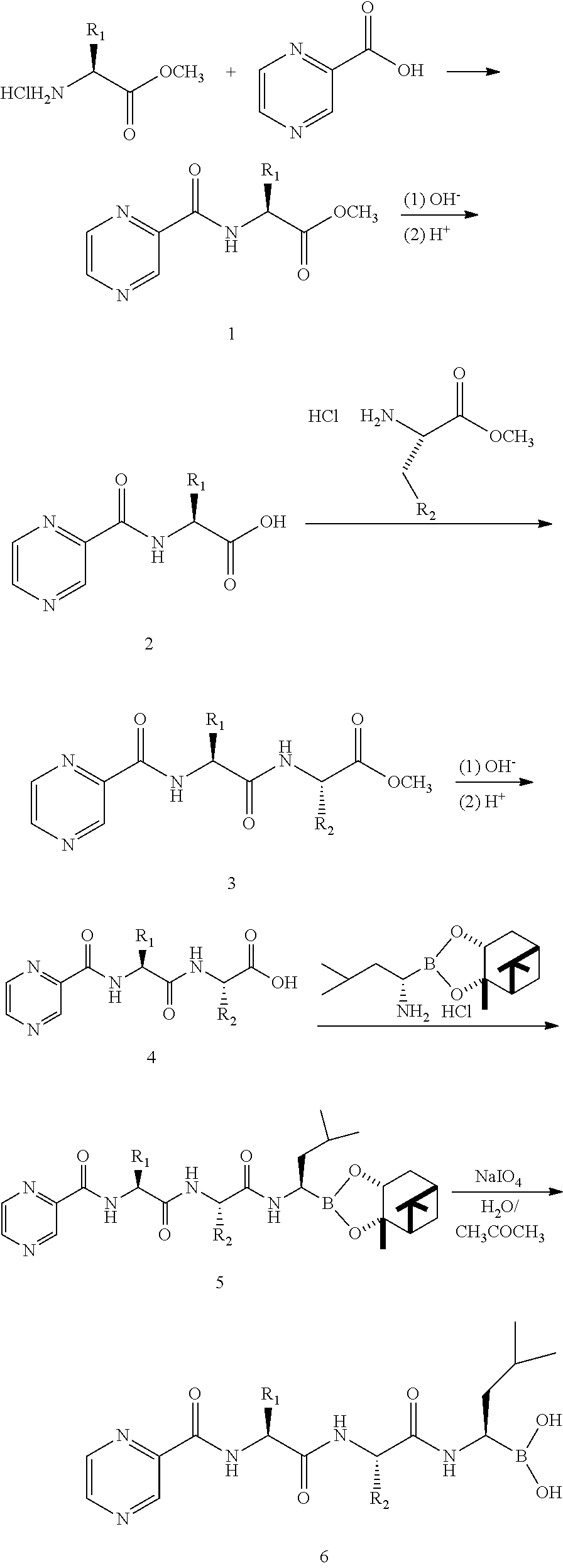 Tripetide boronic acid or boronic ester, preparative method and use thereof