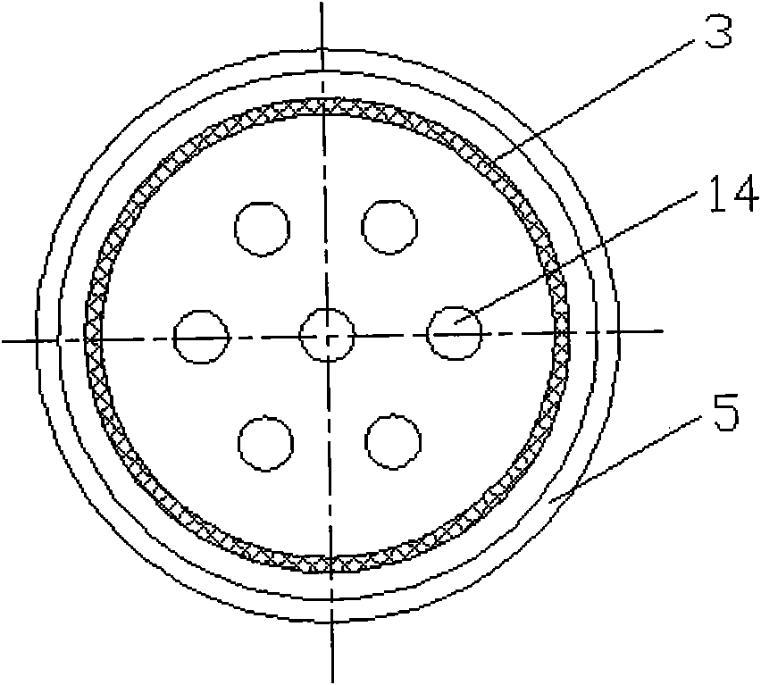 Biomass gasifying hydrogen making reactor based on induction heating