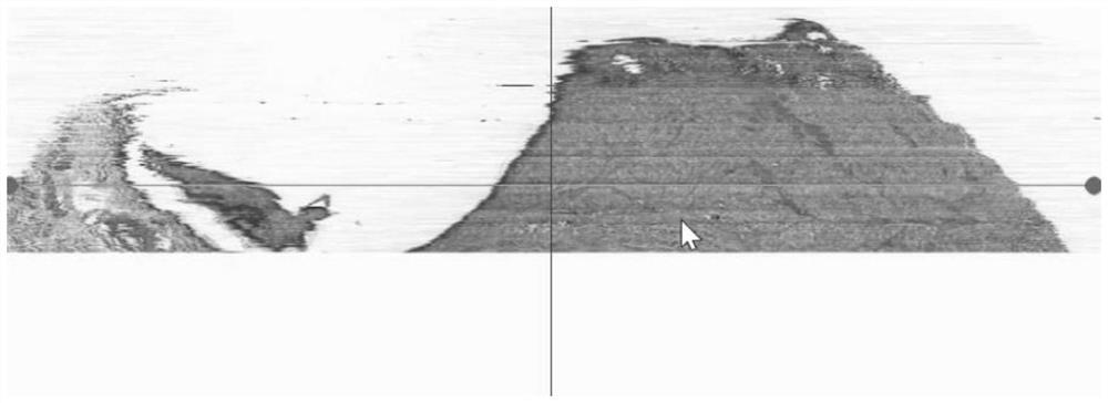 Three-dimensional reconstruction method of forest musk deer gland tissue