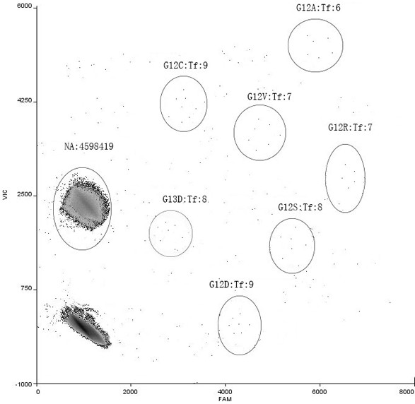 KRAS gene mutation multiple detection primer probe and kit thereof