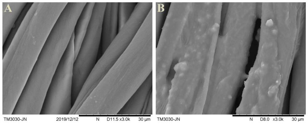 Multifunctional cotton fabric with reproducible antibacterial performance and preparation method thereof