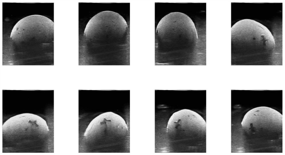 Three-dimensional panoramic tomography ultrasonic device