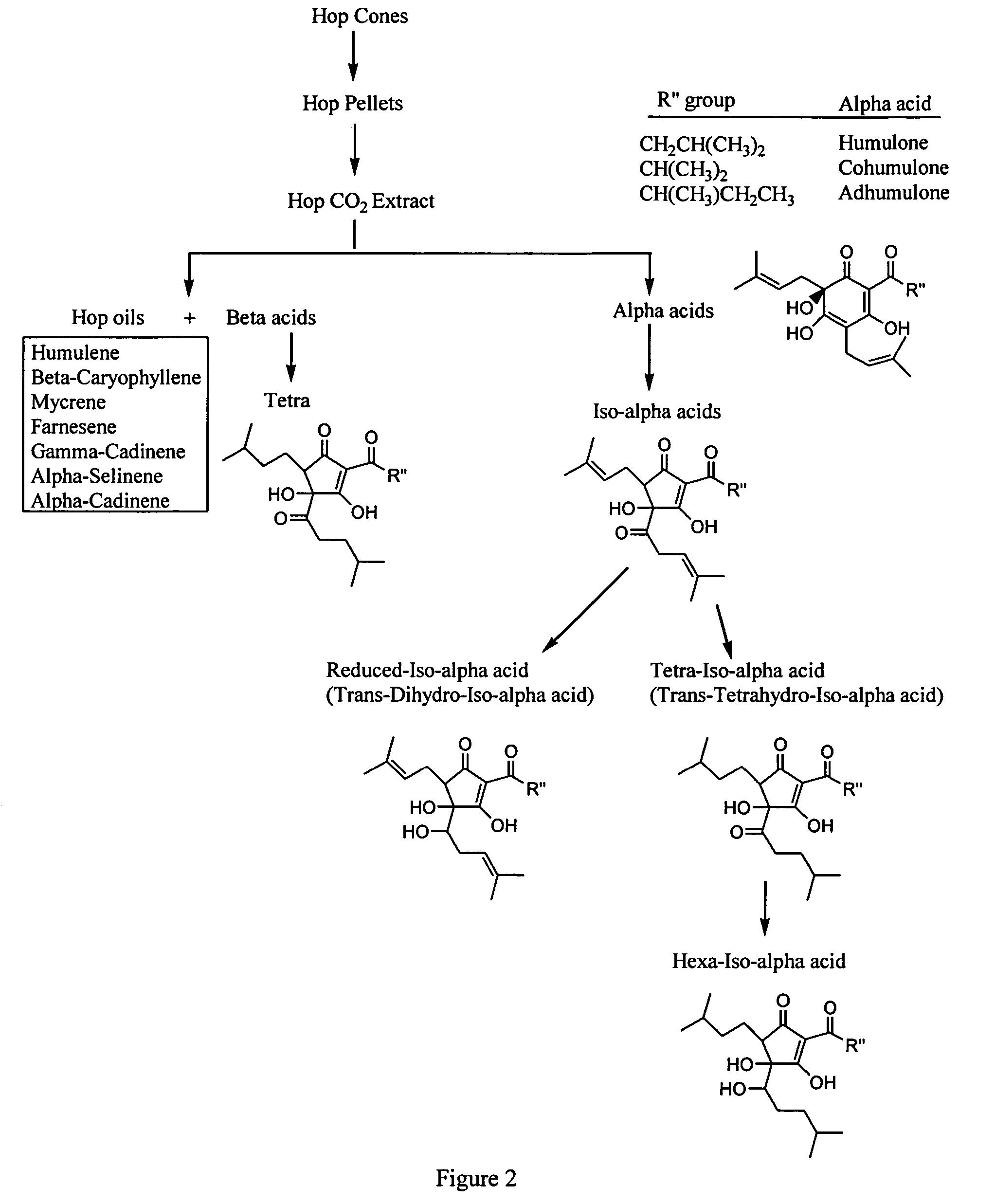 Compositions that treat or inhibit pathological conditions associated with inflammatory response