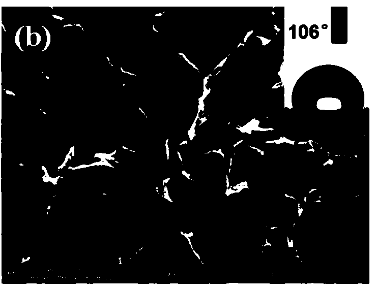 Porous photo-thermal film with salt precipitation resistance and preparation and application thereof