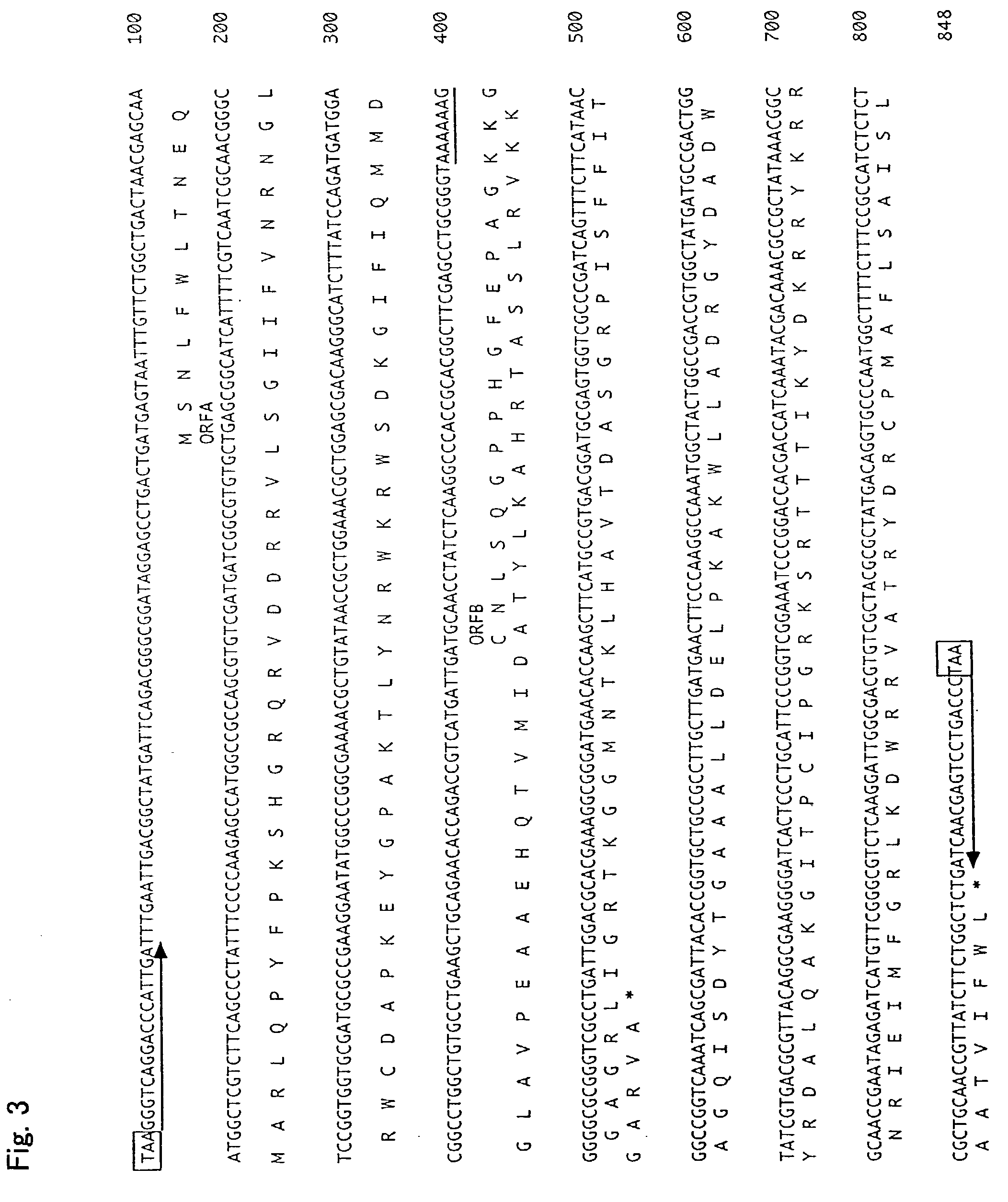 Insertion sequence element derived from ralstonia solanacearum