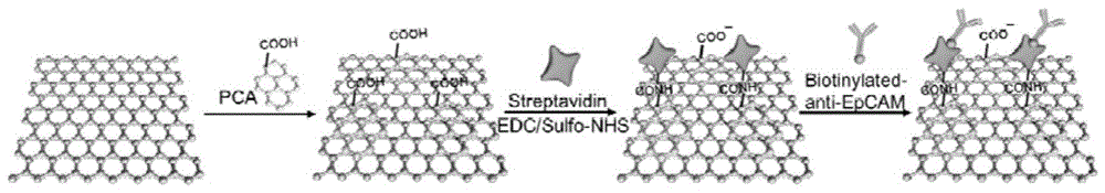 A graphene chip for capturing cancer cells in whole blood and its preparation method