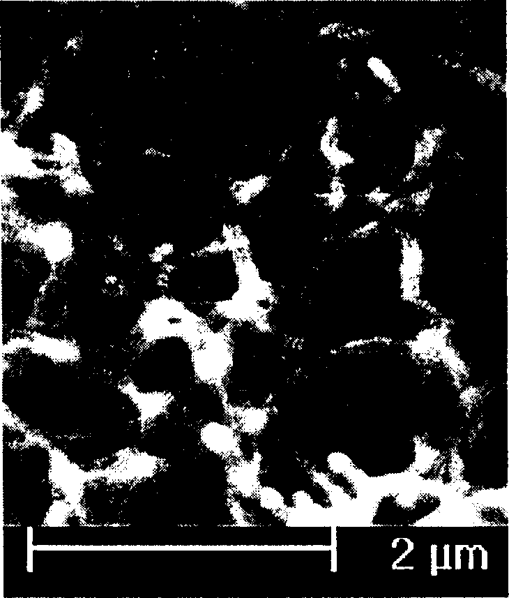 Method for directly forming polypyrrole nano line on electrode surface