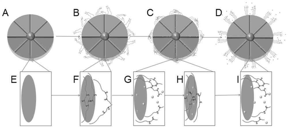 Core-shell mesoporous silica nanoparticles modified with controllable thermosensitive peptide nanovalve and its preparation method and application