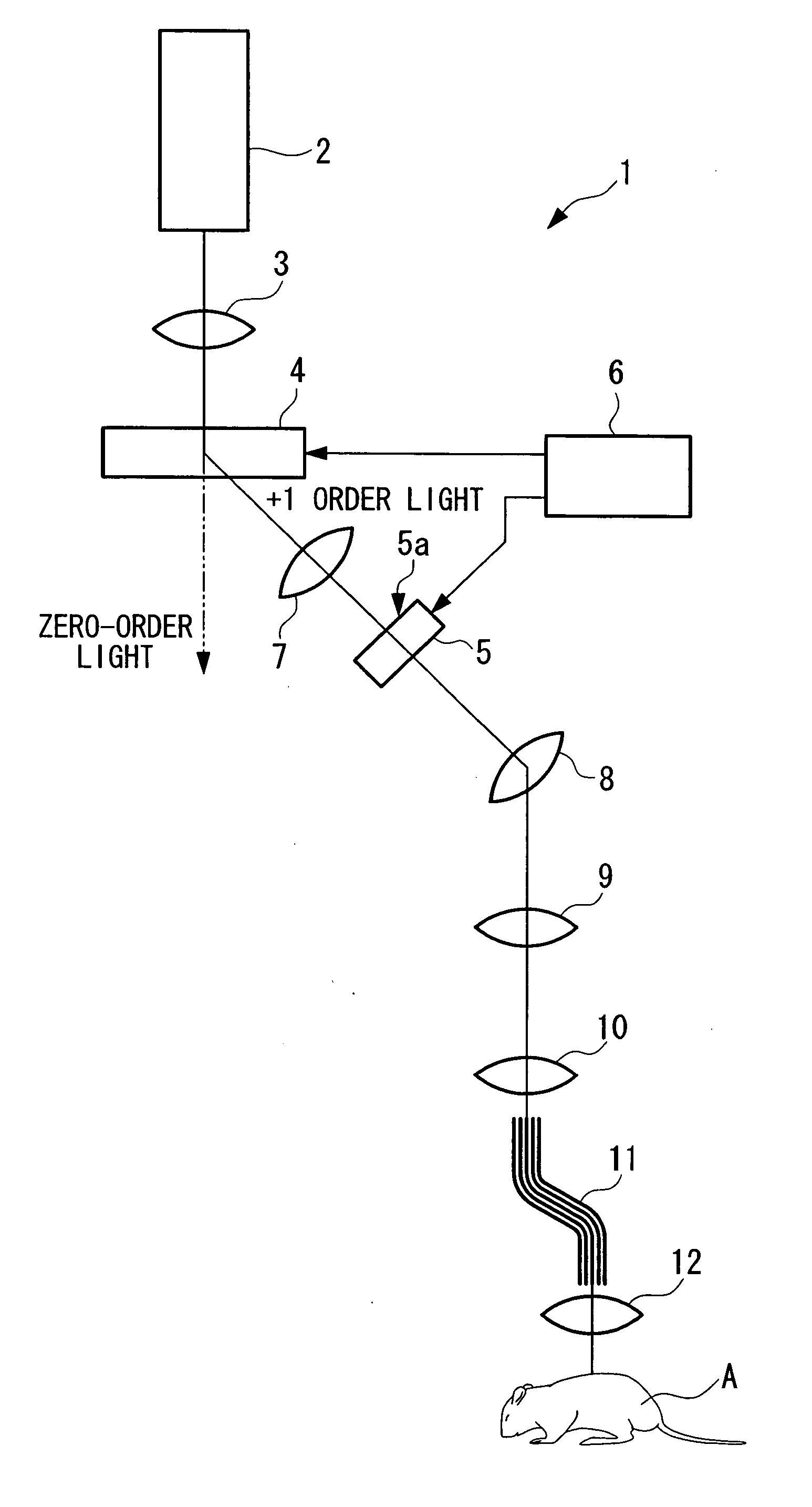 Optical stimulation apparatus and optical-scanning examination apparatus