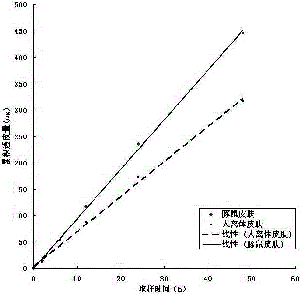 Ramipril-containing external-application slow-release transdermal patch and application thereof