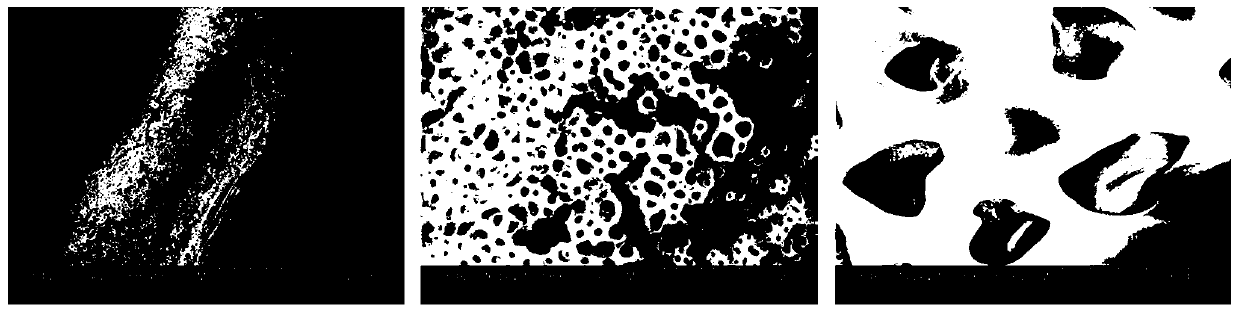 Method for performing surface multi-hole modification of P4HB patch and P4HB patch