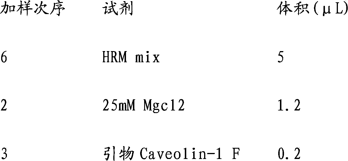 Rapid detection method of gene mutation of Caveolin-1