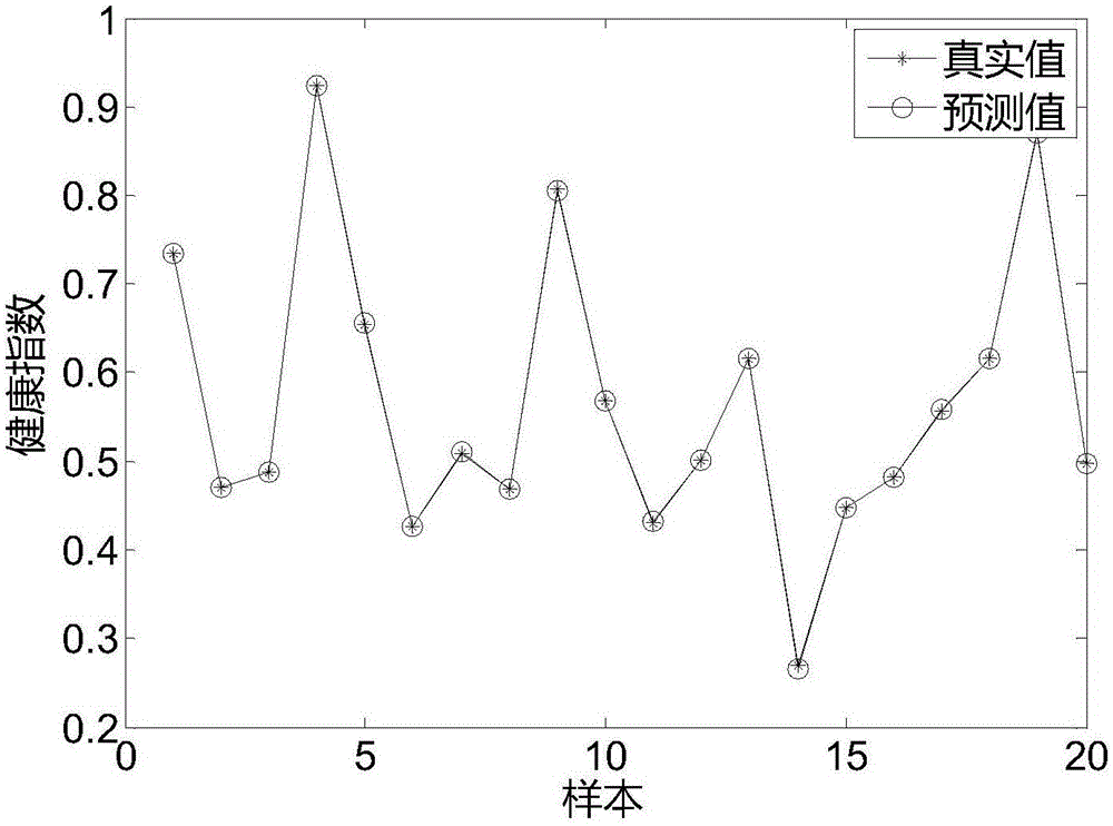 Pet feeding method and system based on internet of things