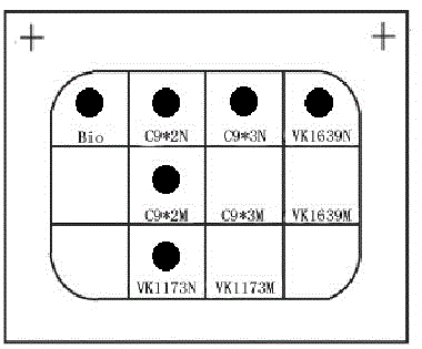 CYP2C9 and VKORC1 gene typing detection reagent kit