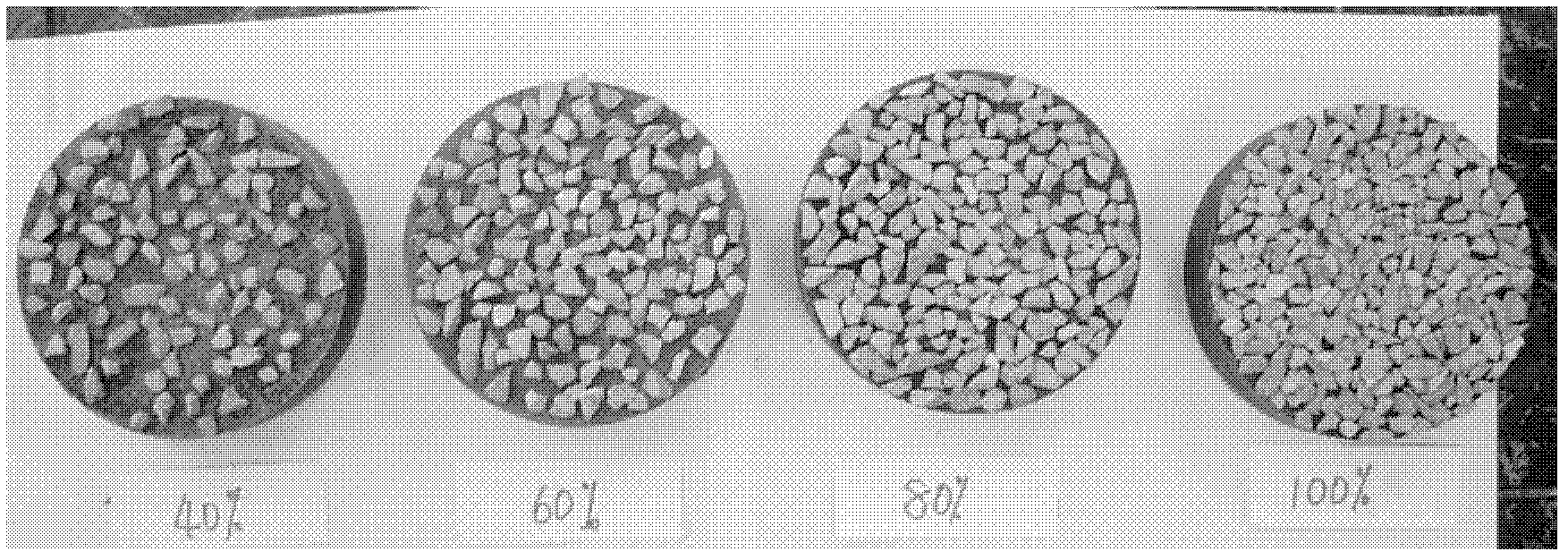 Composite waterproof adhesive layer and preparation method thereof