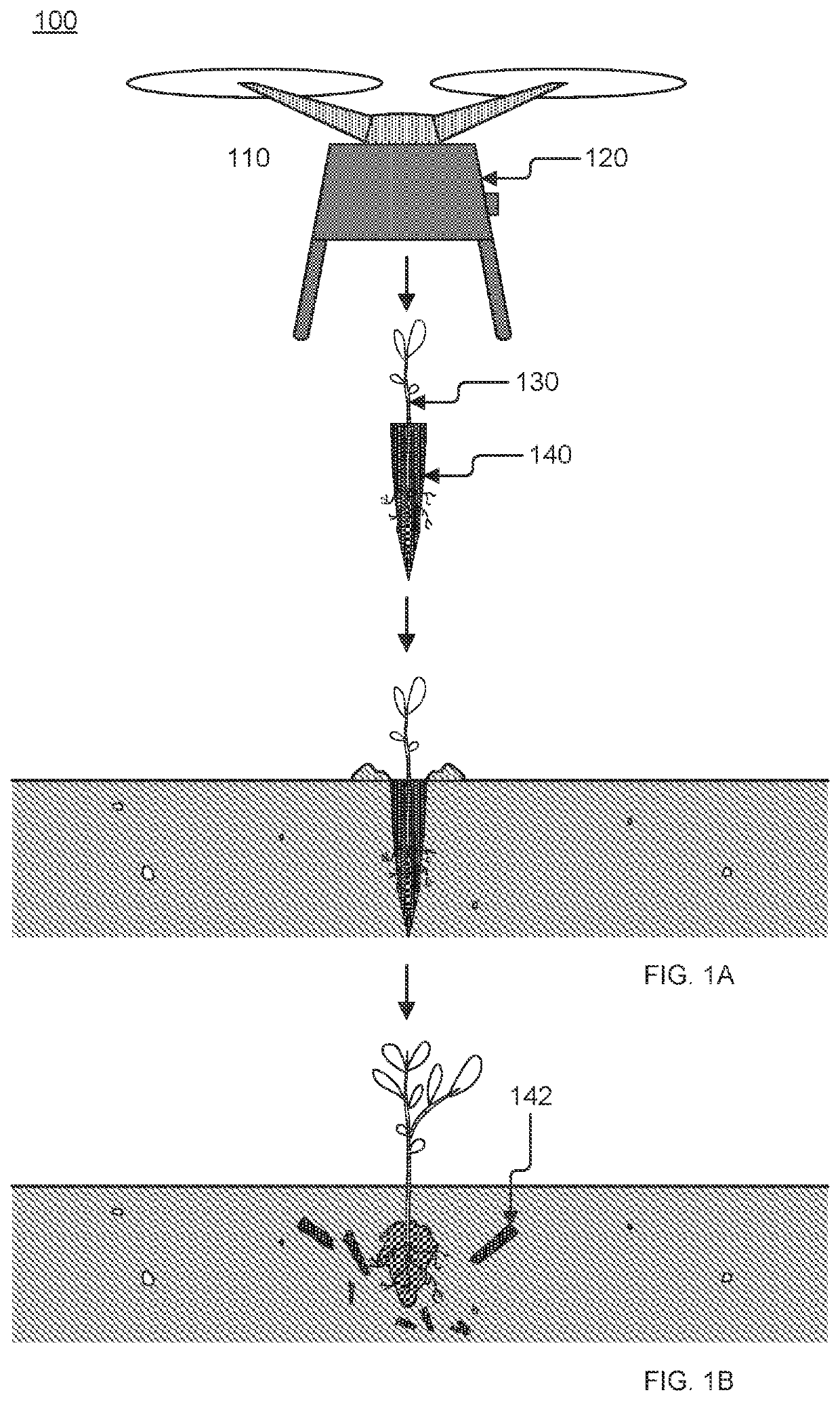 Systems and Methods for Planting Flora and Fauna Through Drone Delivery