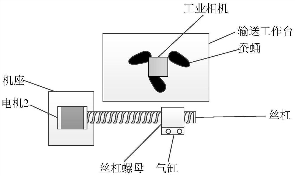 Silkworm pupa body picking device and method