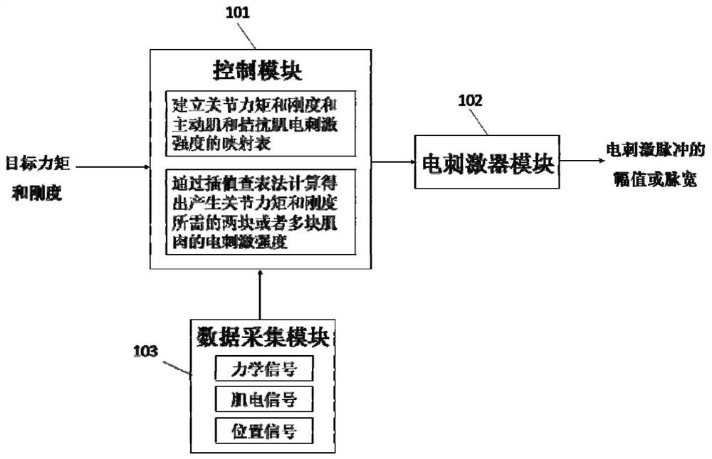 Functional electrical stimulation system and method for regulating and controlling joint torque and rigidity