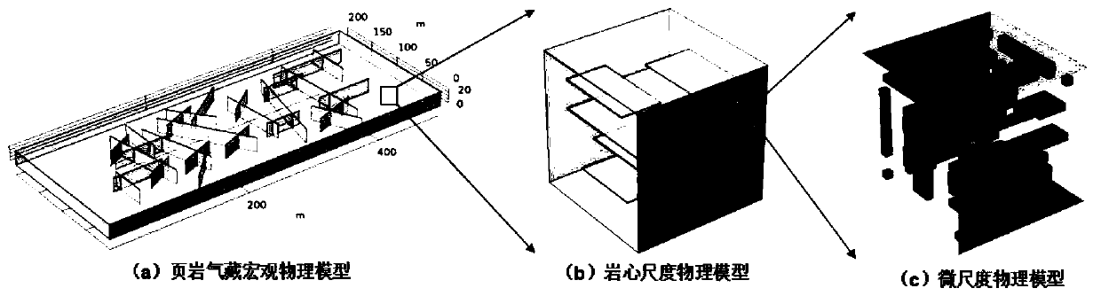 Shale gas reservoir fluid-solid coupling multi-scale numerical simulation method