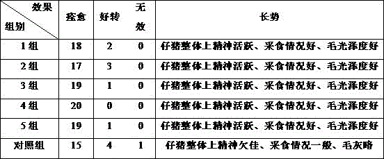 Traditional Chinese medicine preparation for treating piglet dyspepsia and preparation method thereof