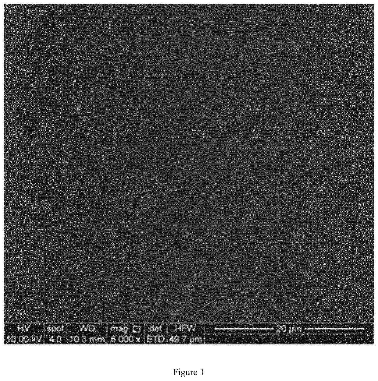 Aesculin sturgeon skin gelatin film with antioxidant activity and enterococcus faecalis detection ability and a method of preparing the same