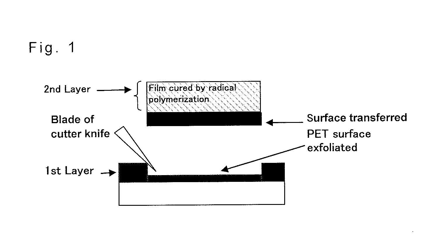 Transfer sheet and process for producing same