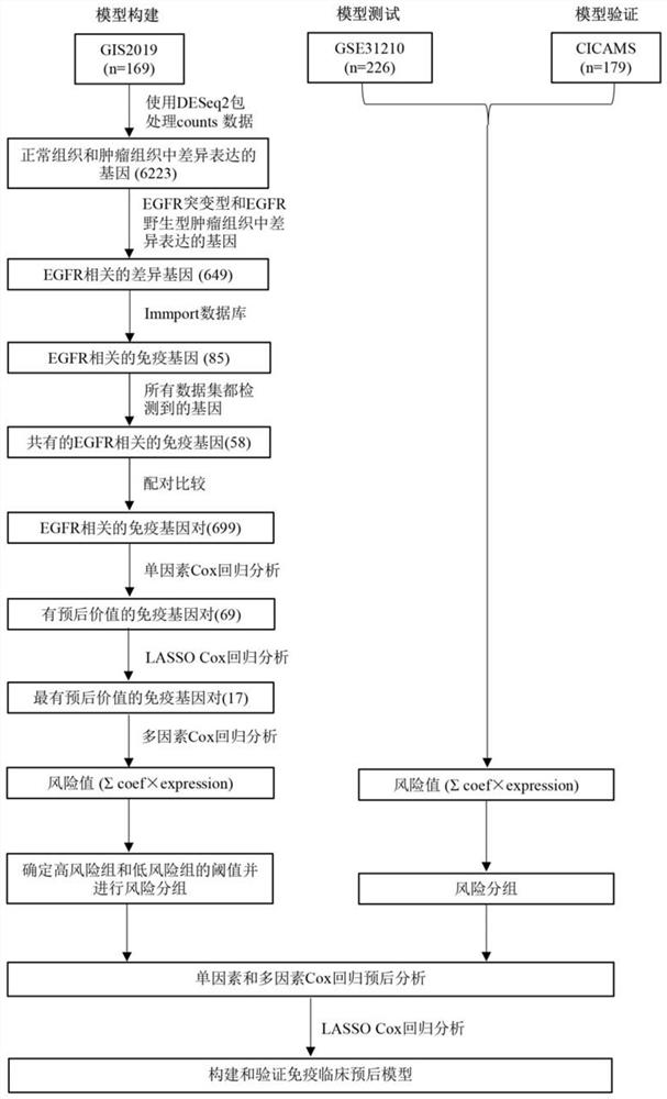 A joint predictive model of immune-clinical features that can be used to assess the prognosis of lung adenocarcinoma