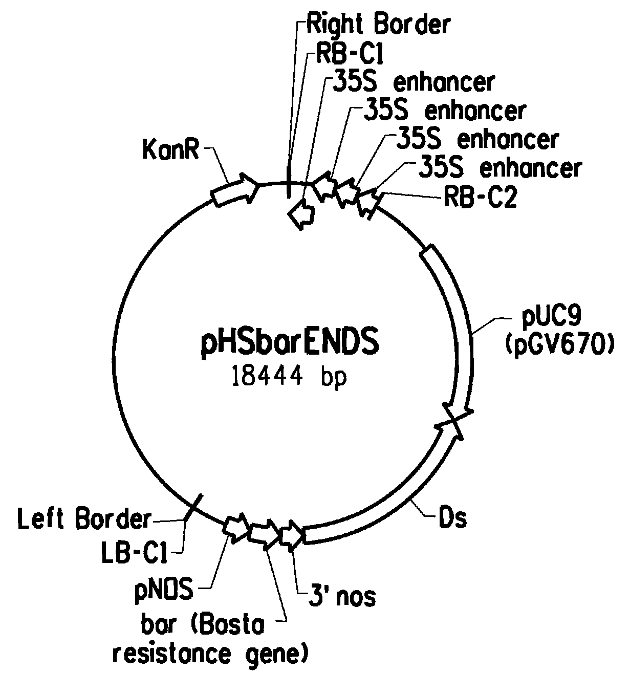 Plants with altered root architecture, related constructs and methods involving genes encoding nucleoside diphosphatase kinase (NDK) polypeptides and homologs thereof