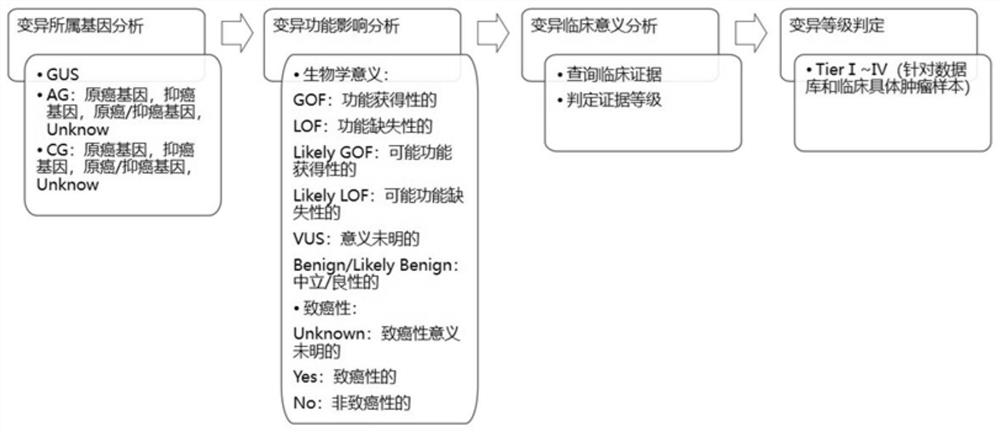 Method and device for analyzing somatic variation