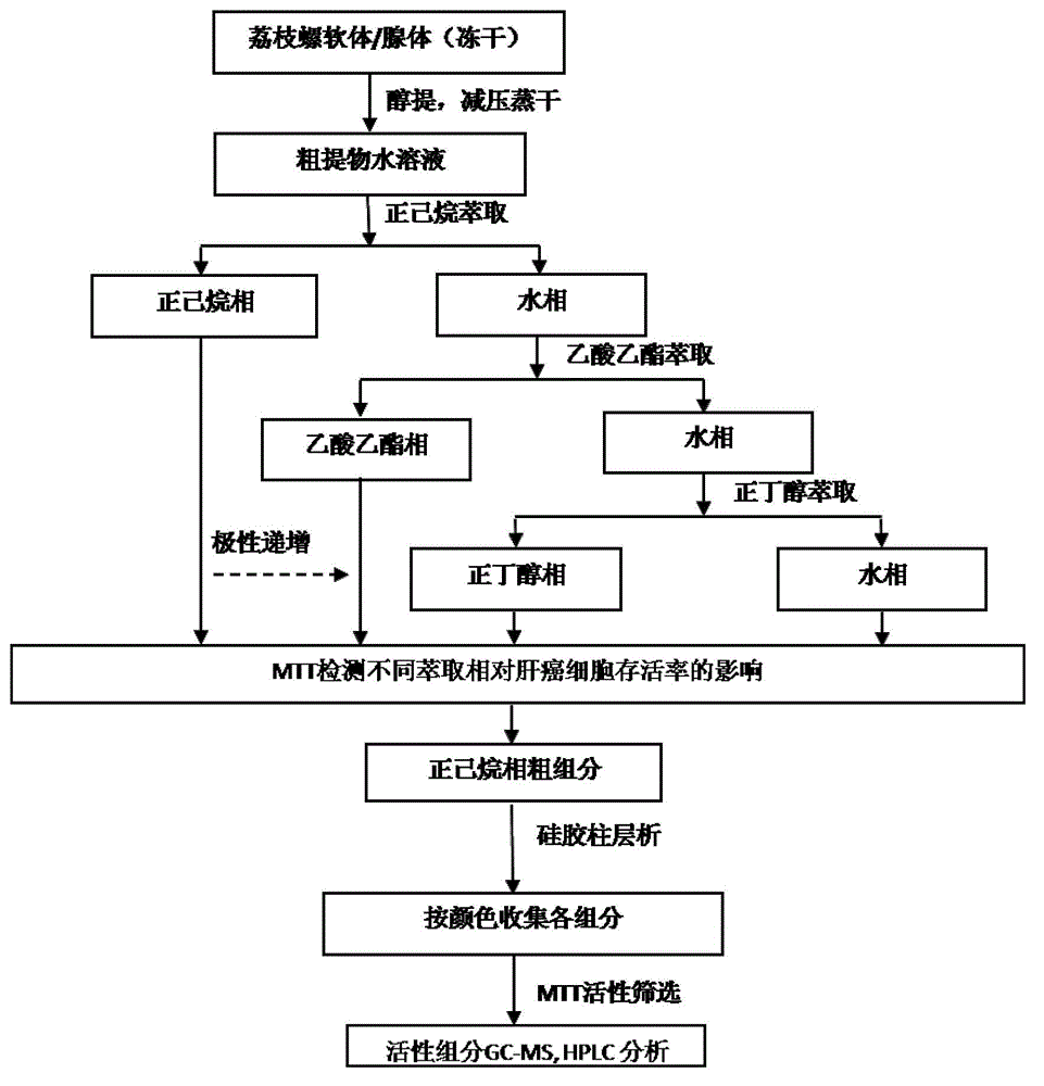 A kind of snail extract containing 6-bromoindolindione and its preparation method and its anticancer application