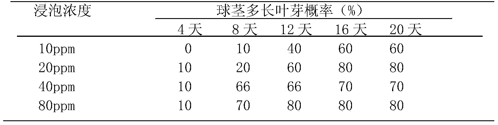 Method for promoting nervilia fordii corms to grow more leaf buds