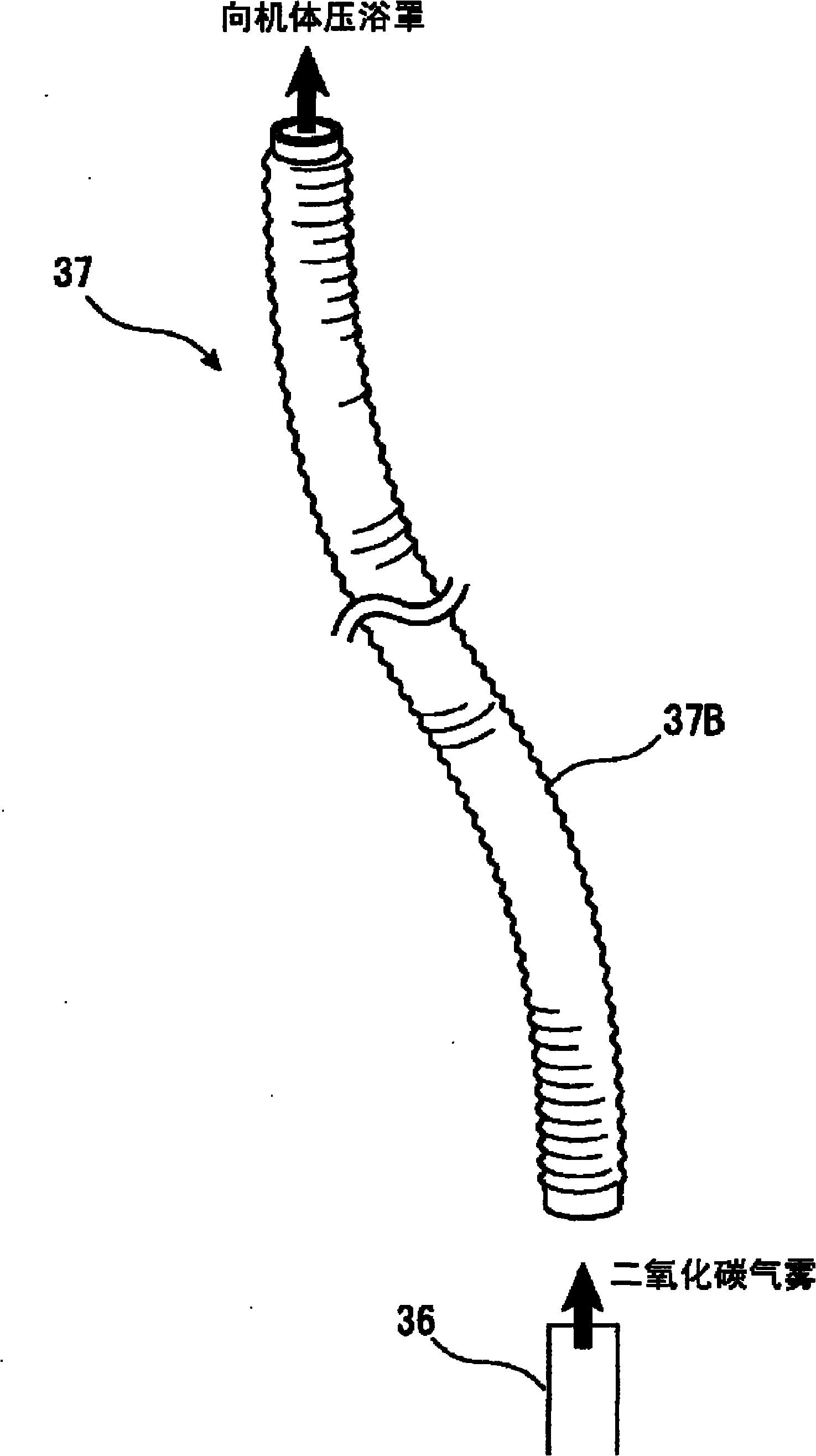 Pressurized carbon dioxide-containing mist bathing system