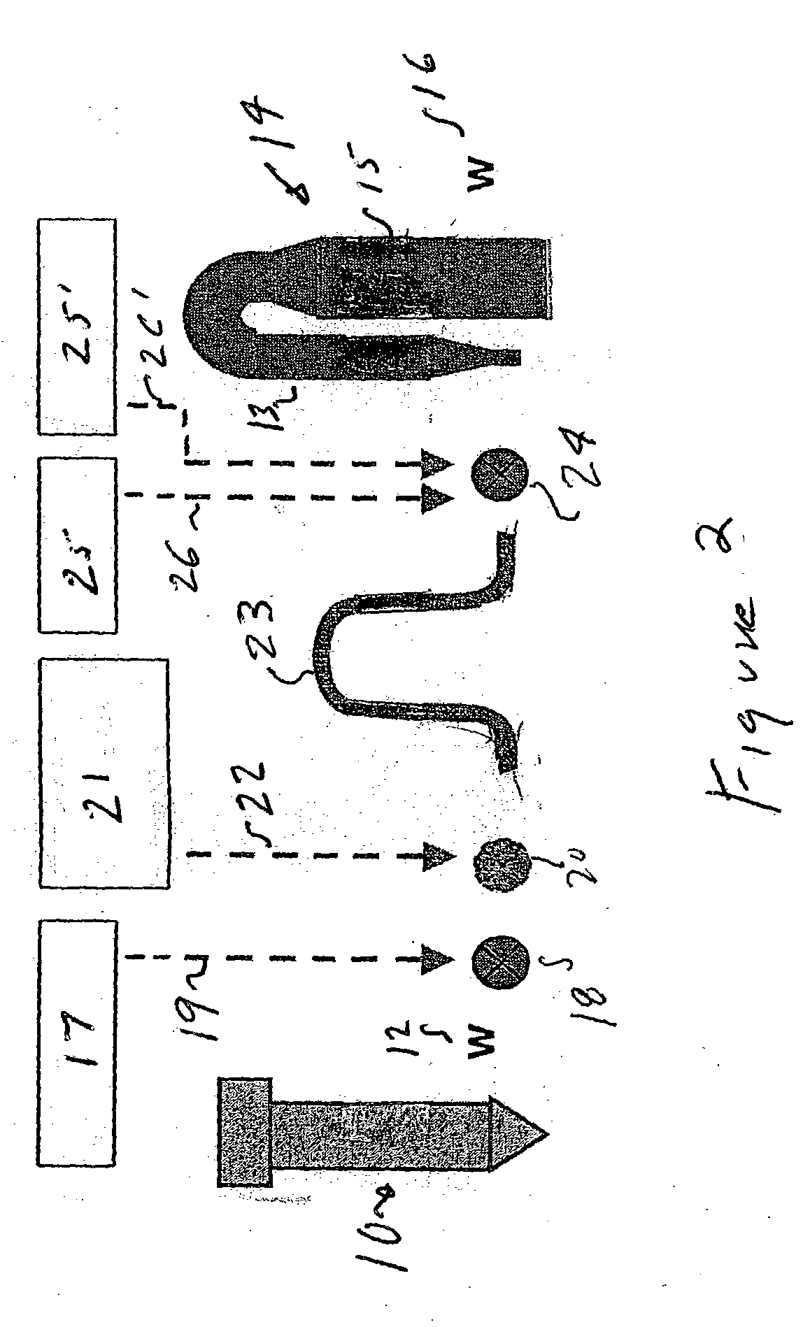 Apparatus for making carboxylated pulp fibers