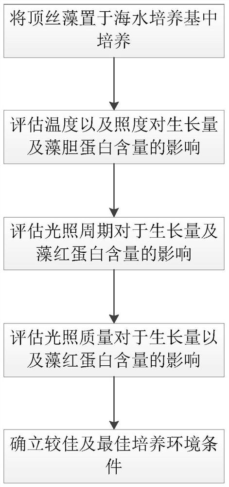 Culture method for increasing content of phycoerythrin in acrochaetiaceae