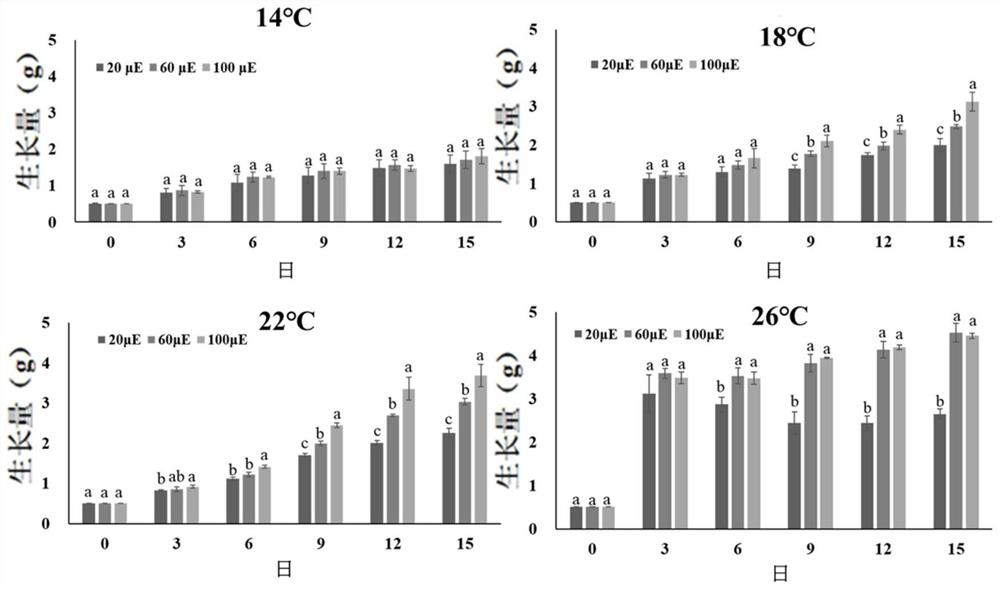 Culture method for increasing content of phycoerythrin in acrochaetiaceae