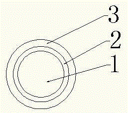 Biosensor for detecting salmonella typhimurium and preparation method of same