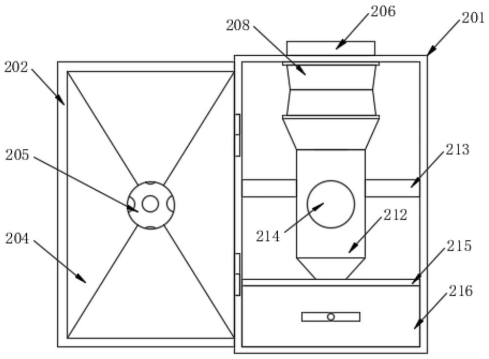 Manufacturing process of insect specimen