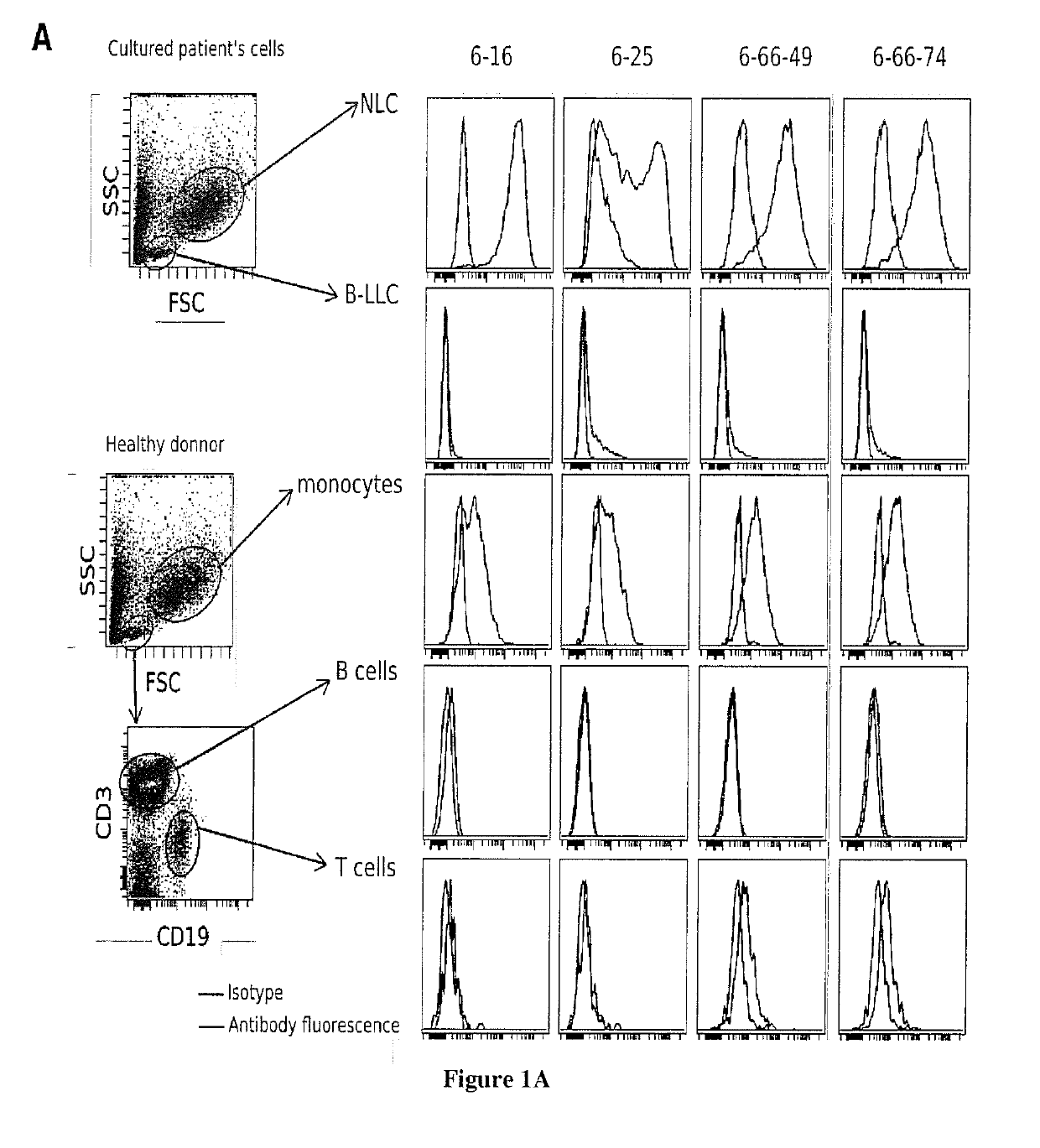 Methods of treatement of cancer disease by targetting tumor associated macrophage