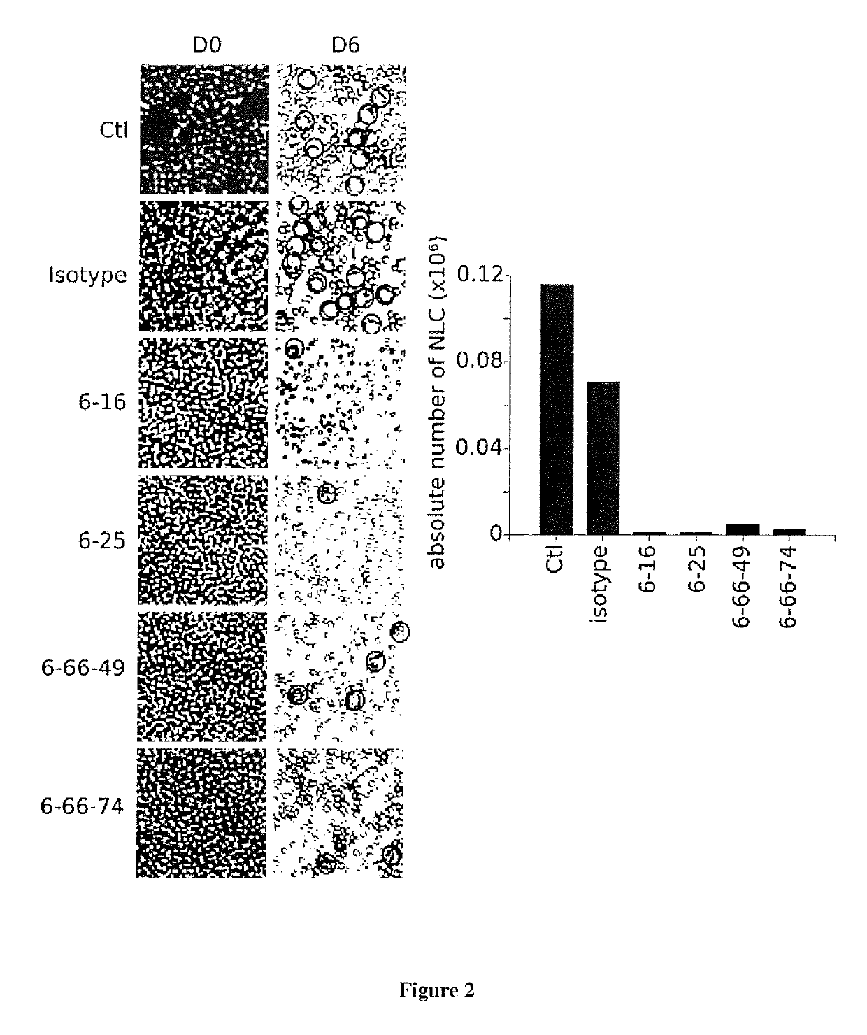 Methods of treatement of cancer disease by targetting tumor associated macrophage