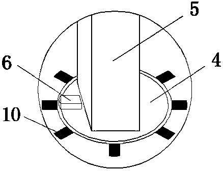 Automatic walnut opening machine