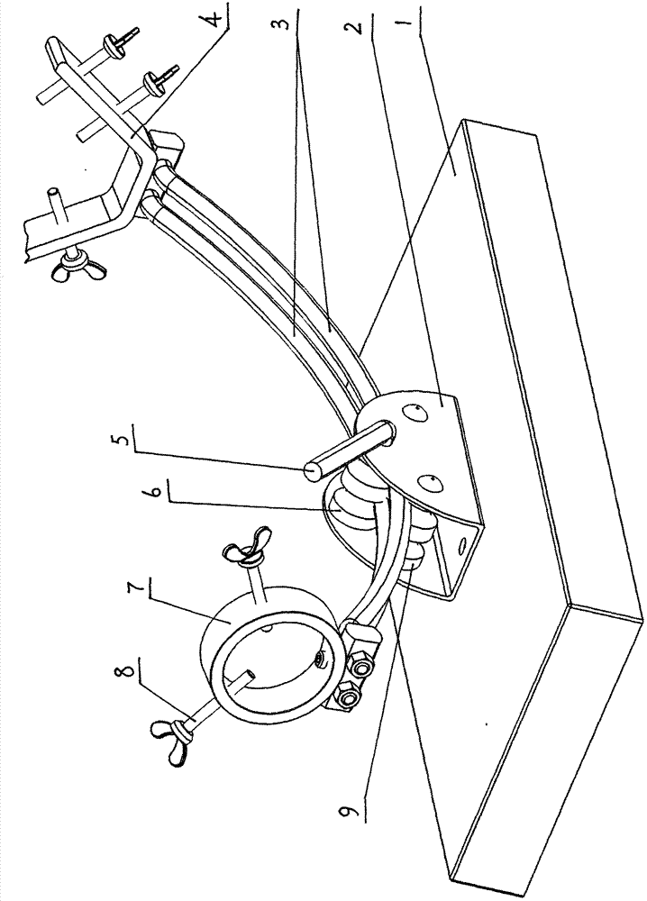 Ham mounting rack