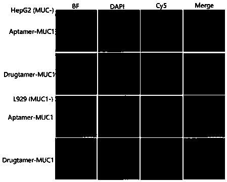 Medicine aptamer constructed by nucleoside analogue medicine molecules and preparation method and application thereof