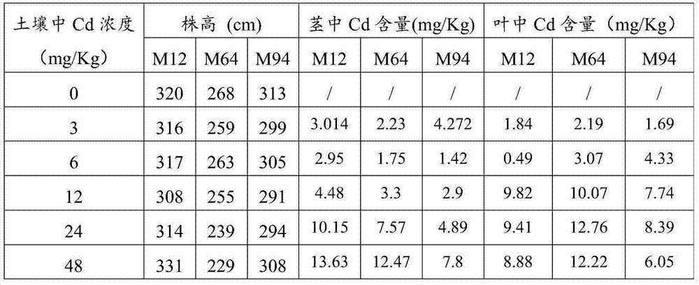 Comprehensive repair method of heavy metal contaminated soil and application