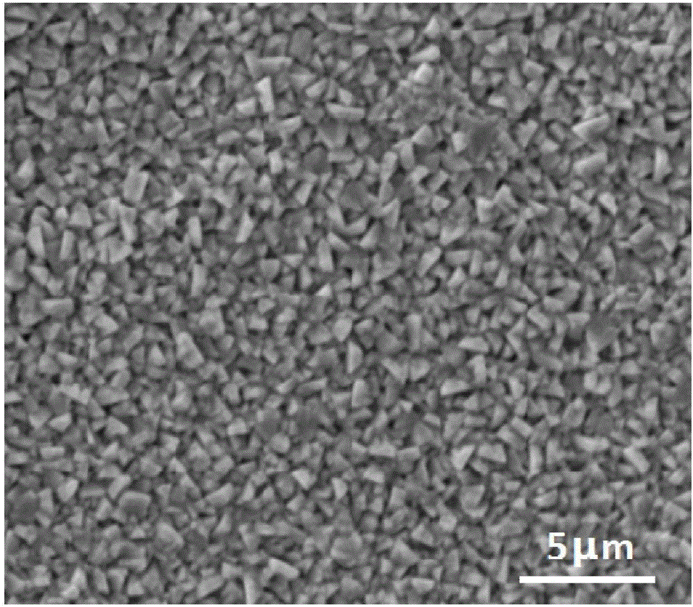 Method preparing self-supporting photo-anode based on ternary composite of cadmium sulfide/ nickel sulfide/ nickelic sulfide