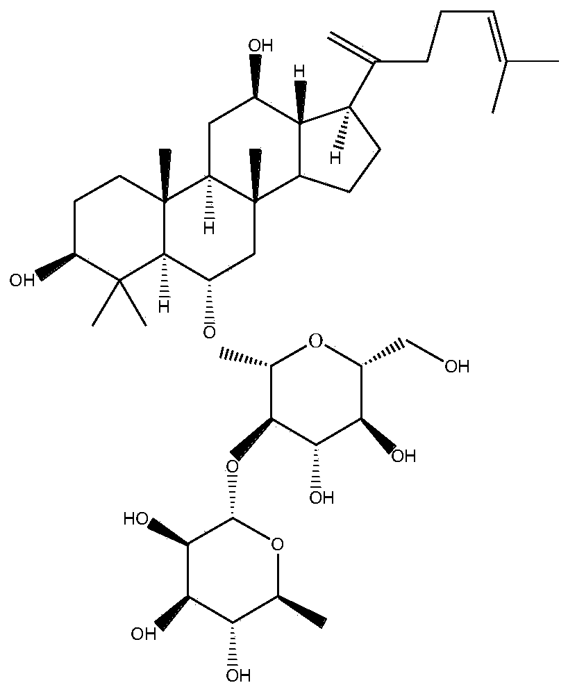 Ginsenoside composition with function of preventing and treating alcoholic fatty liver