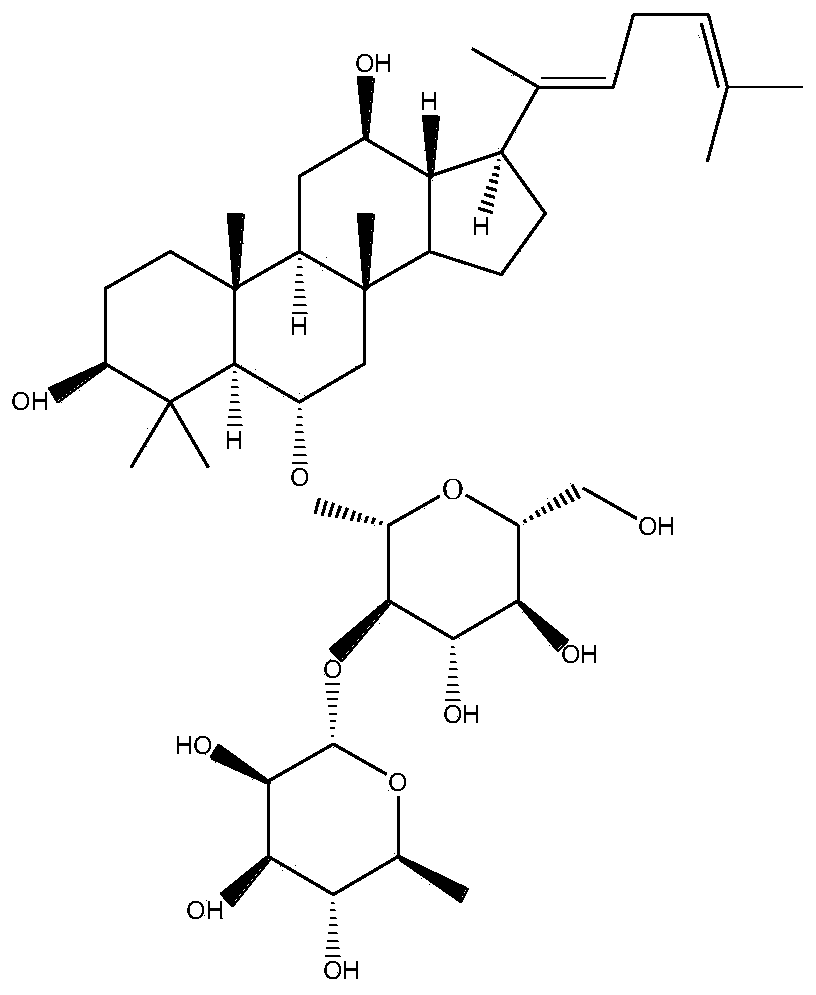 Ginsenoside composition with function of preventing and treating alcoholic fatty liver