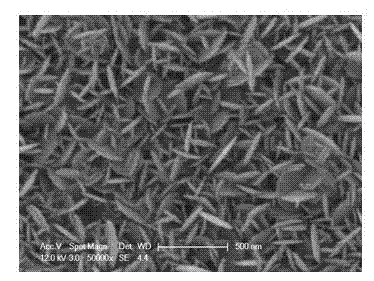 Double-side light entering quantum dot sensitization solar cell and preparation method thereof