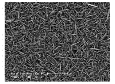 Double-side light entering quantum dot sensitization solar cell and preparation method thereof