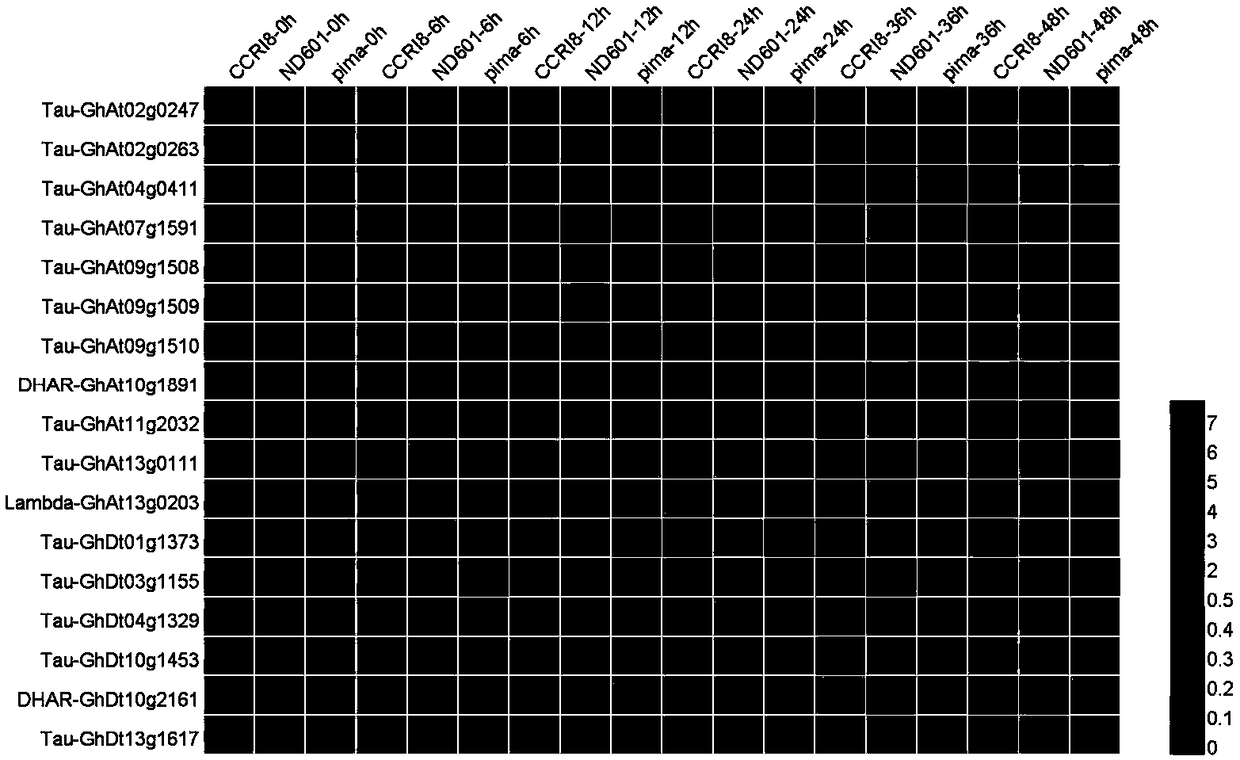 GST gene cluster of upland cotton and application thereof in improving verticillium wilt resistance of plants