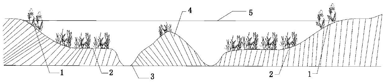 A method for improving eutrophic water body substrate and reshaping terrain